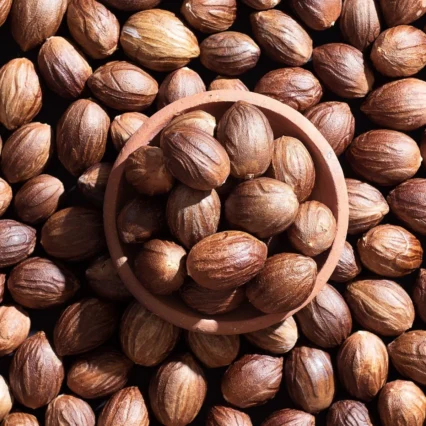 Nutmeg With shell